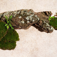 Nature-Friendly Slab